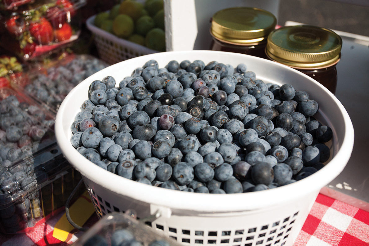 Talladega Farmers Market